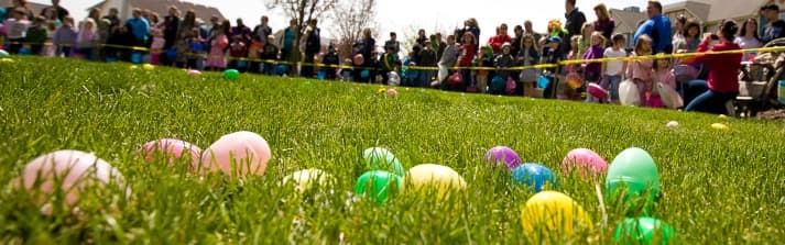 Free Egg Hunt in Shorewood