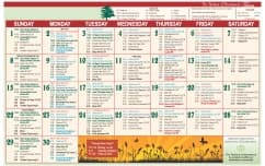 activities and events for seniors