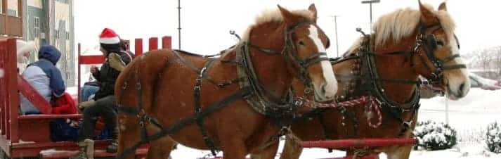 Horses puling a sleigh ride in Joliet