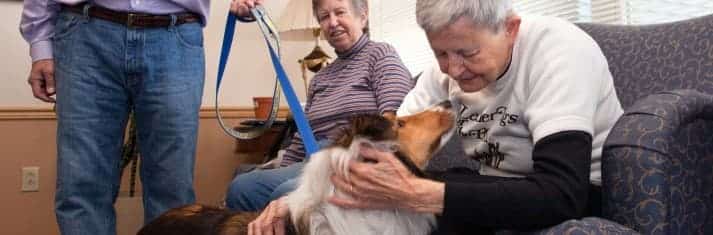 Barbara Carson and Clancy the Therapy Dog