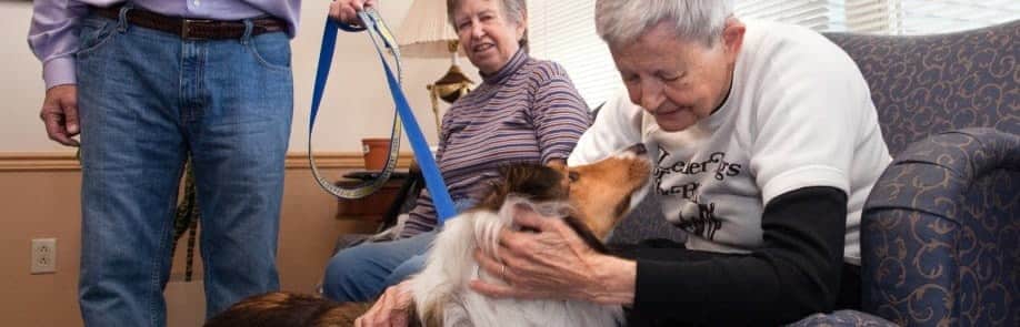Senior petting a therapy dog at the Timbers of Shorewood